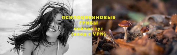 стафф Дмитровск