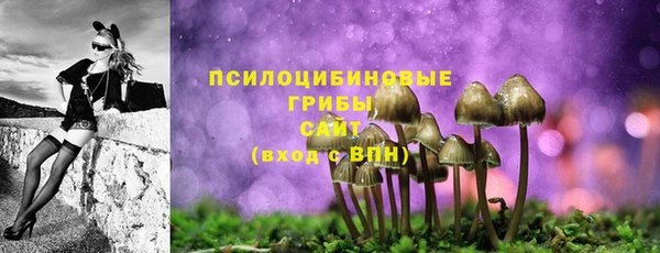 mdma Дмитров