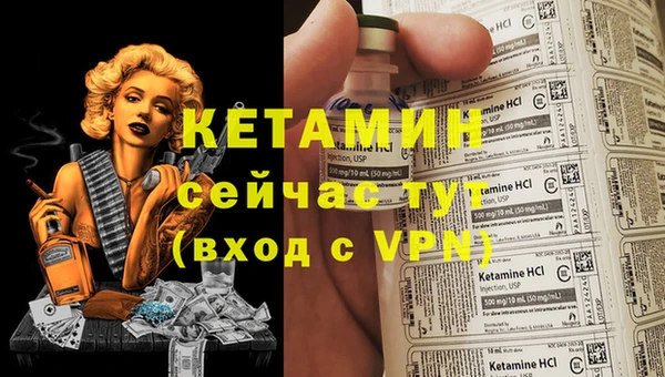 стафф Дмитровск