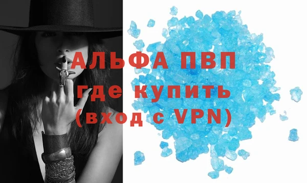 стафф Дмитровск